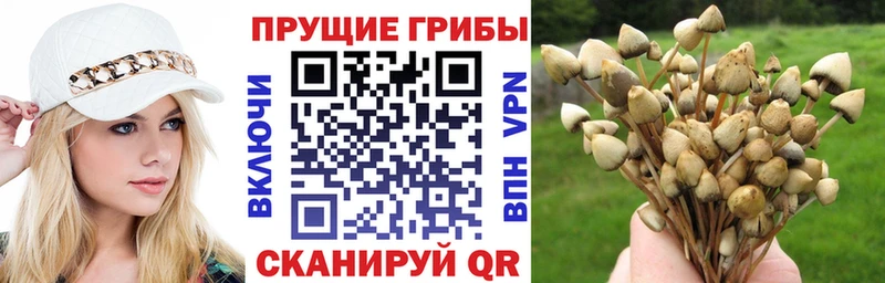 Псилоцибиновые грибы ЛСД Юрьев-Польский