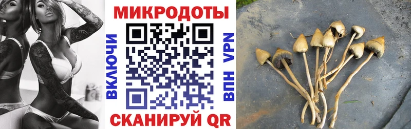 хочу наркоту  Юрьев-Польский  Псилоцибиновые грибы прущие грибы 
